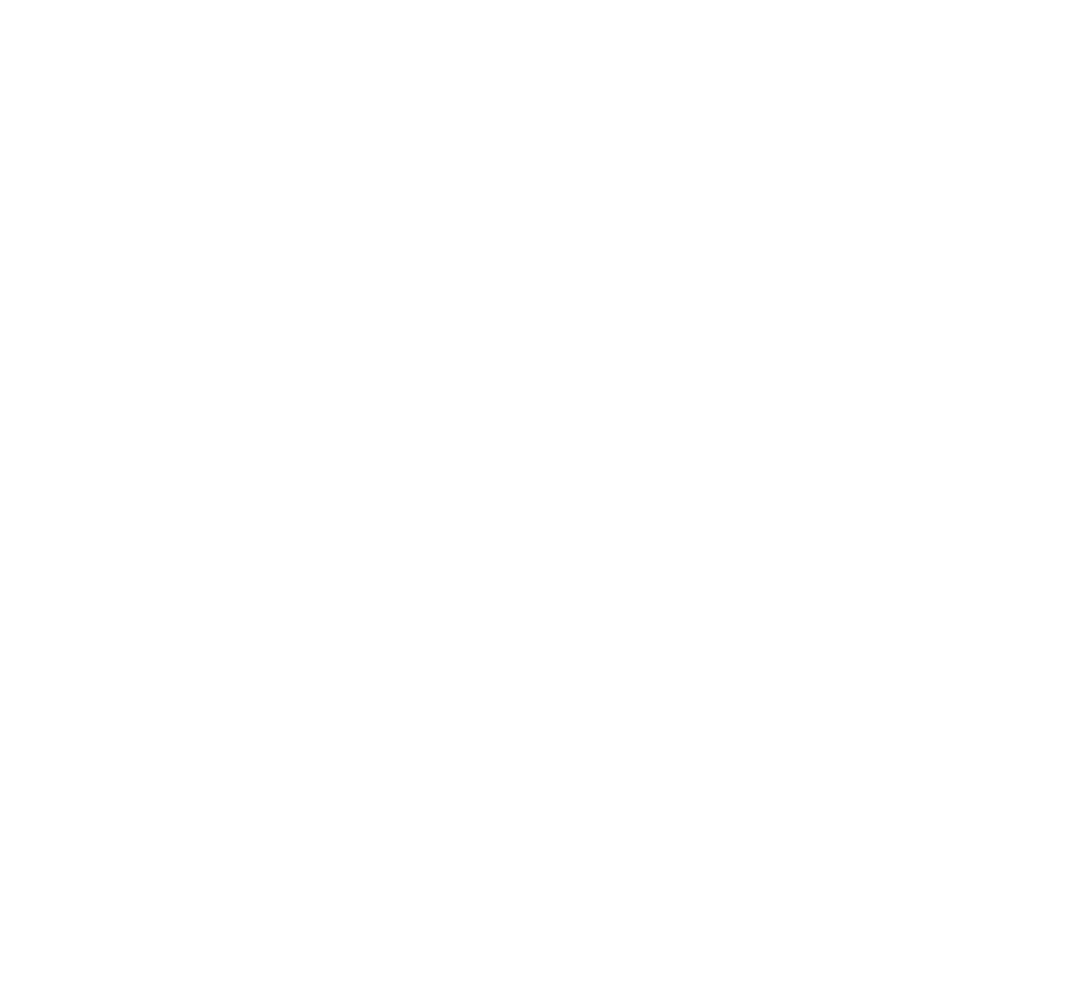 auto-gates-icon auto gates icon